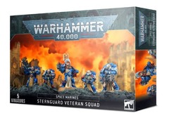 Space Marines: Sternguard Veteran Squad (OOP)